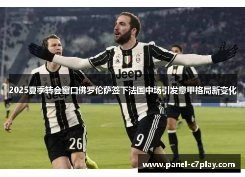 2025夏季转会窗口佛罗伦萨签下法国中场引发意甲格局新变化 2025夏季转会窗口佛罗伦萨签下法国中场引发意甲格局新变化